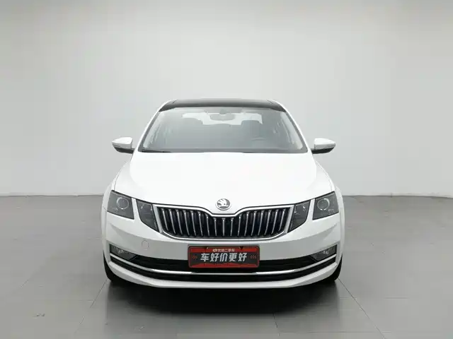 Škoda Octavia 2019 1.5L Automatic Luxury Edition — фото 3