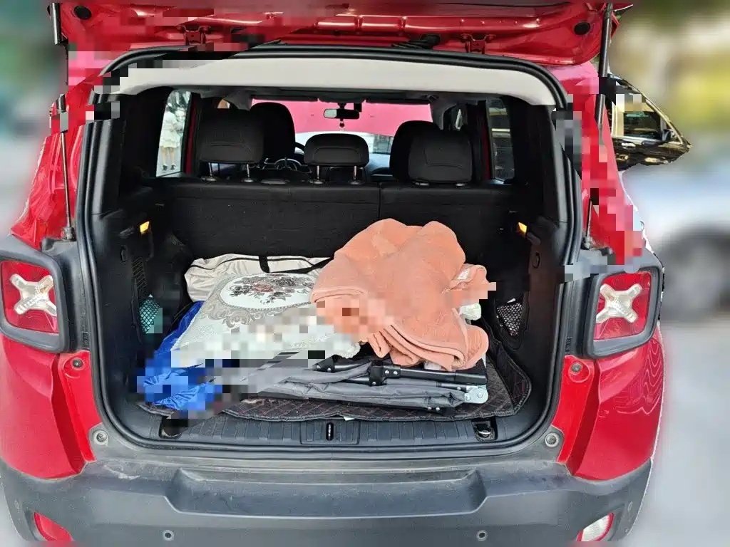 Фото 10 - Jeep Renegade
