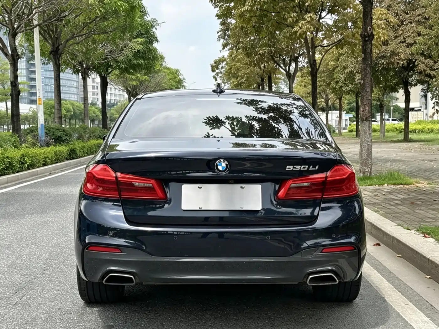 BMW 5 Series 2018 530Li Leading M Sport Package фото 15