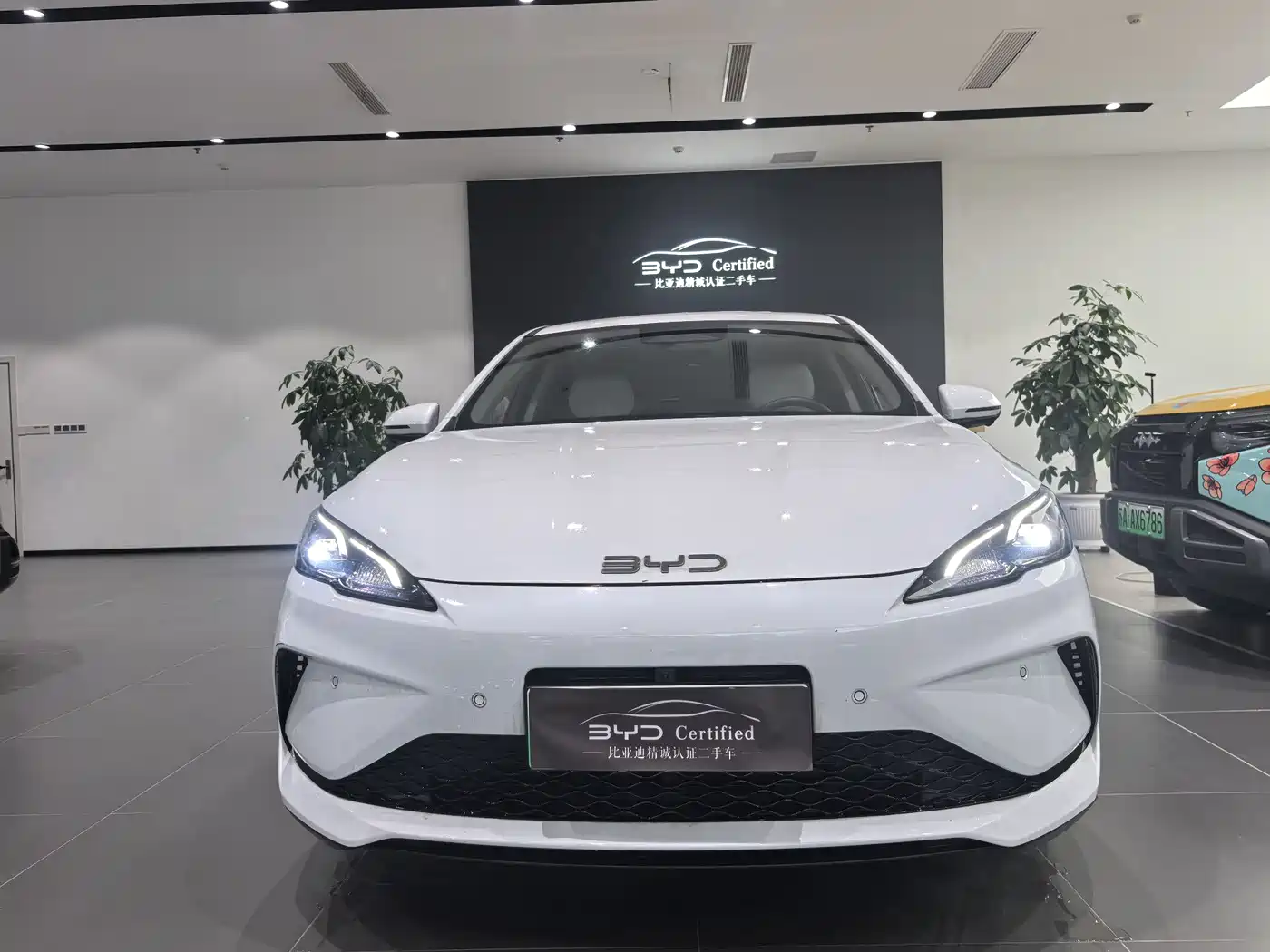 BYD Hai Bao 05 DM-i 2025 DM-i Smart Driving Edition 120KM Flagship фото 2