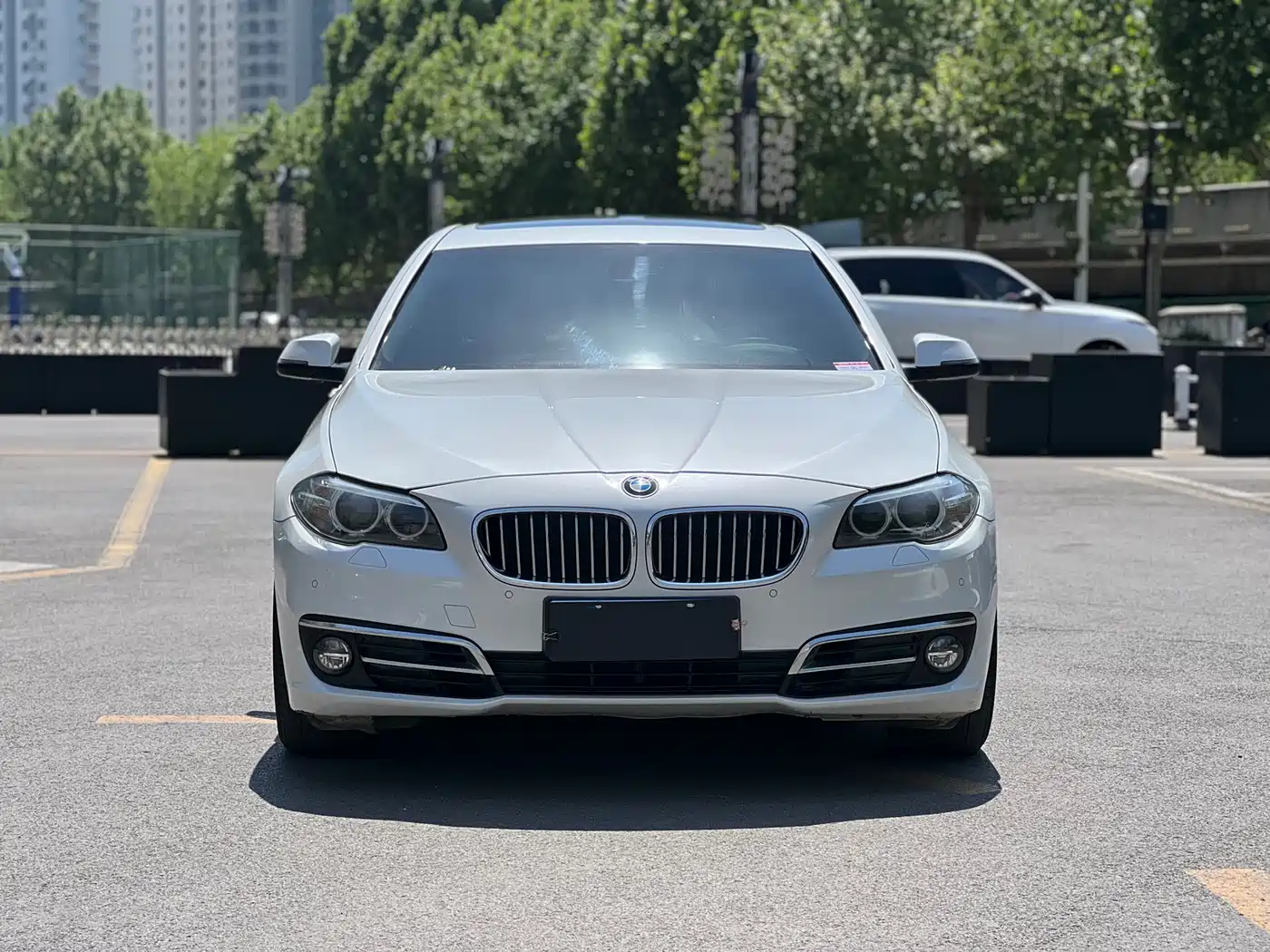 BMW 5 Series 2014 525Li Leading фото 2