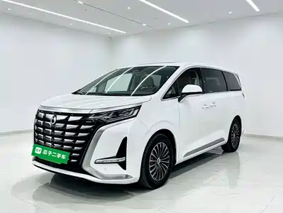 Denza D9