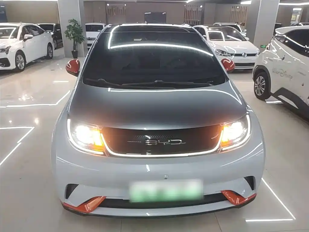 BYD Dolphin 2021 Model 405km Fashion Edition фото 3