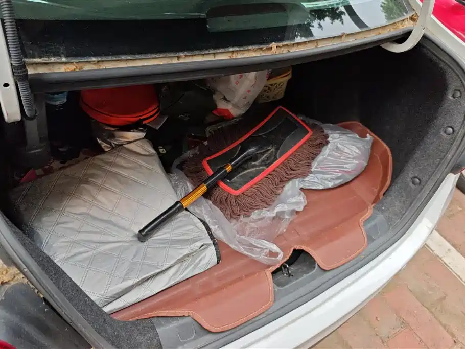 Chevrolet Cavalier 2016 1.5L Automatic Enjoyment Edition фото 4