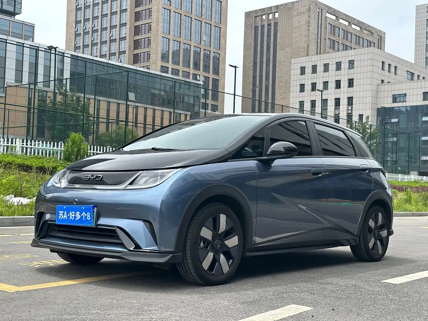 BYD Dolphin 2025 520km Knight Edition