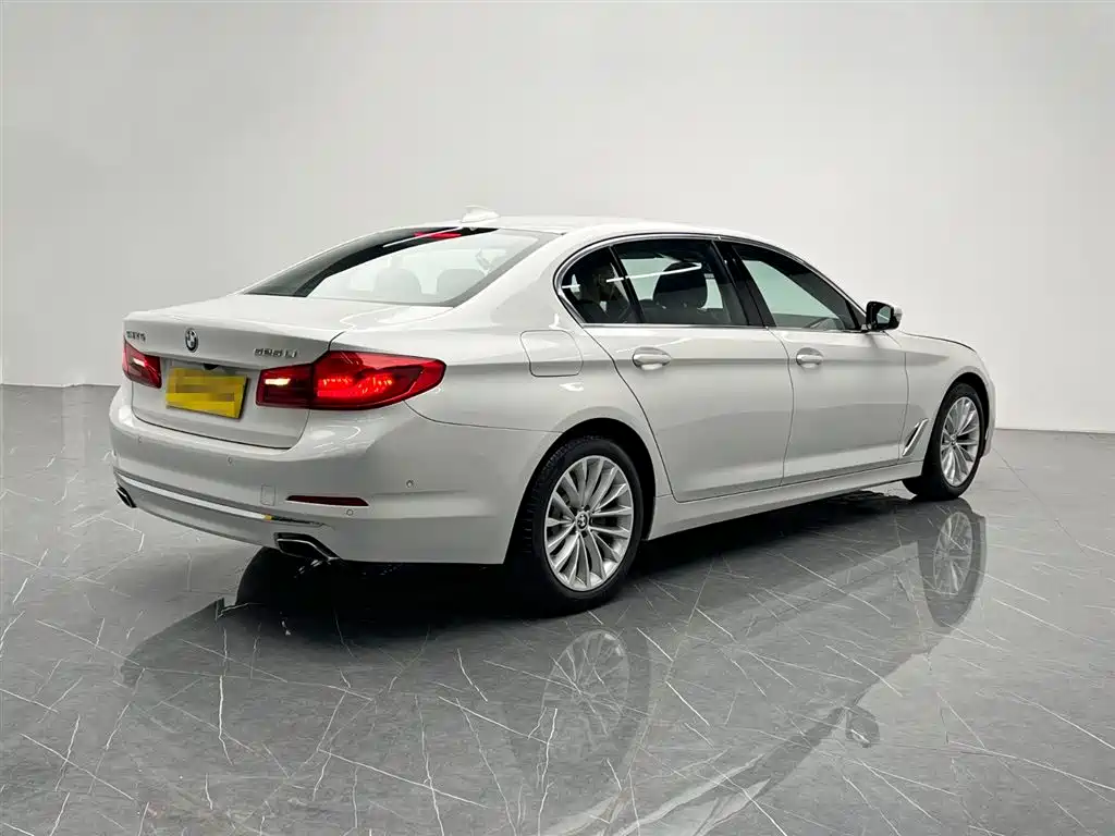 BMW 5 Series 2020 525Li Luxury Package фото 6