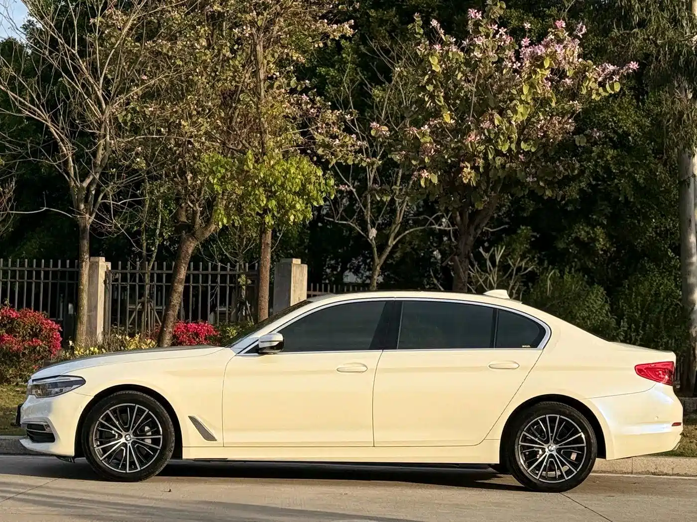 BMW 5 Series 2020 530Li Premium Luxury Package фото 11