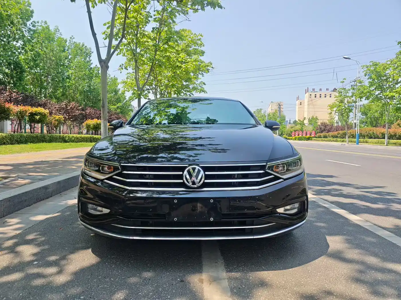 Volkswagen Magotan 2020 330TSI DSG Luxury фото 2