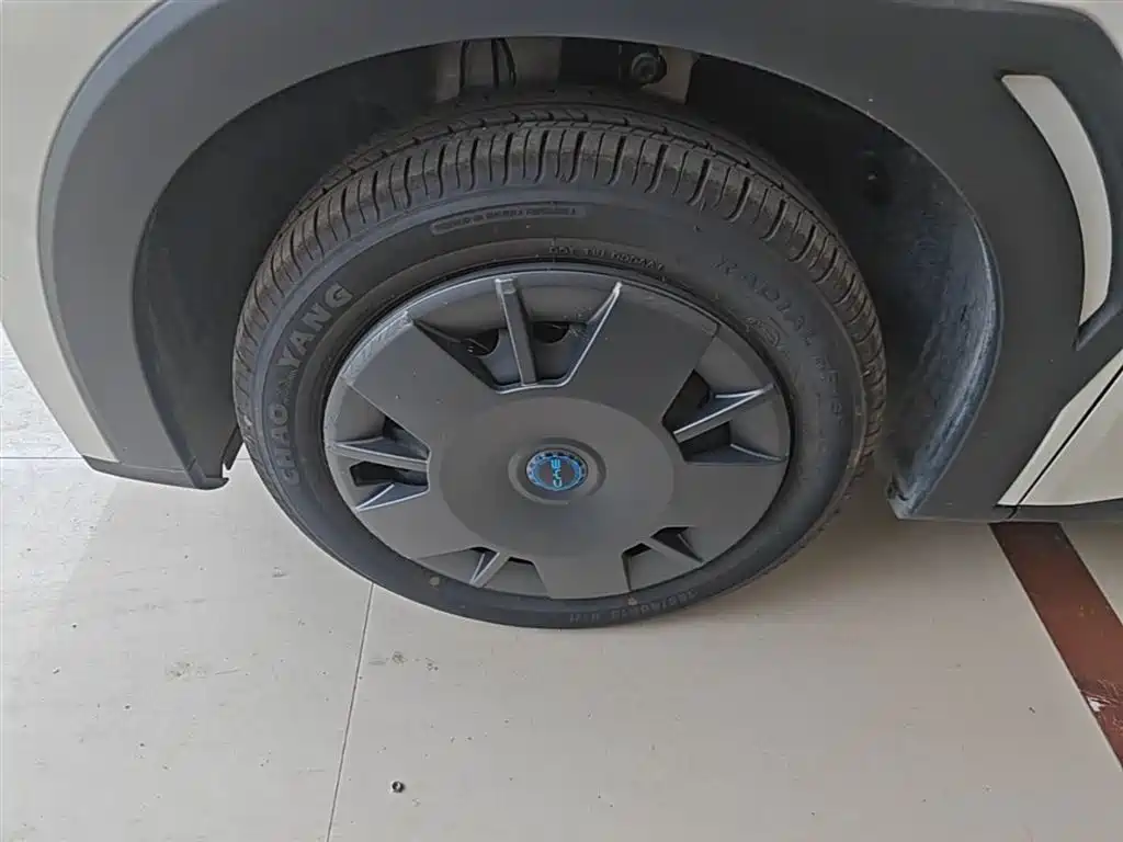 BYD Seagull 2025 Smart Drive Edition 305km Vitality Version фото 23
