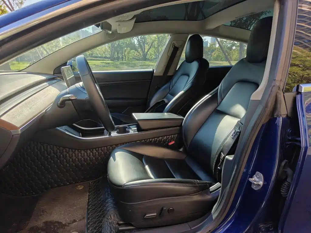 Tesla Model 3 2020 2020 Standard Range Rear-Wheel Drive Upgrade