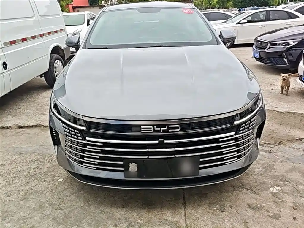 BYD Destroyer 05 2023 Champion Edition DM-i 55KM Luxury фото 3