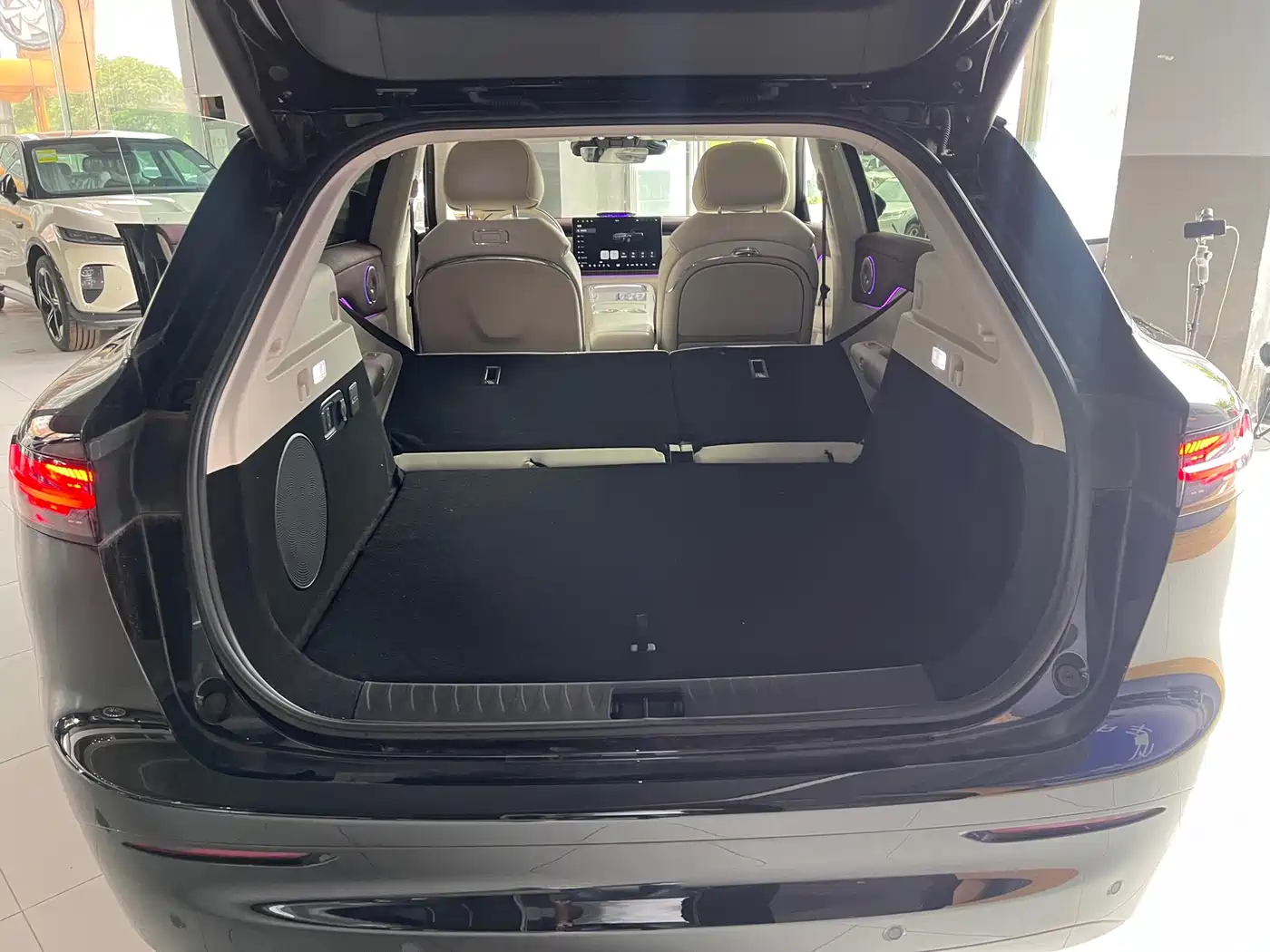 Voyah Auto Voyah Zhiyin 2025 Base фото 19