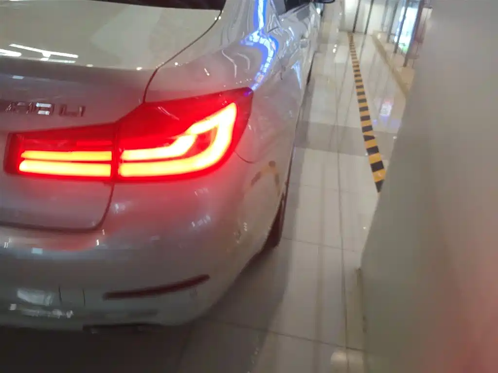 BMW 5 Series 2020 530Li Premium Luxury Package фото 8