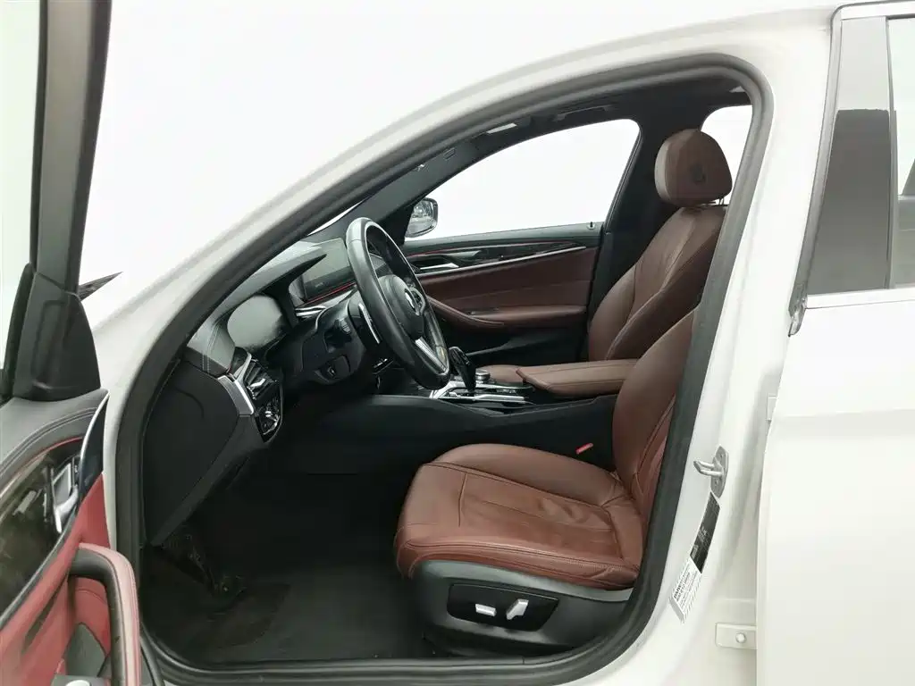 BMW 5 Series 2020 530Li Leading M Sport Package фото 10