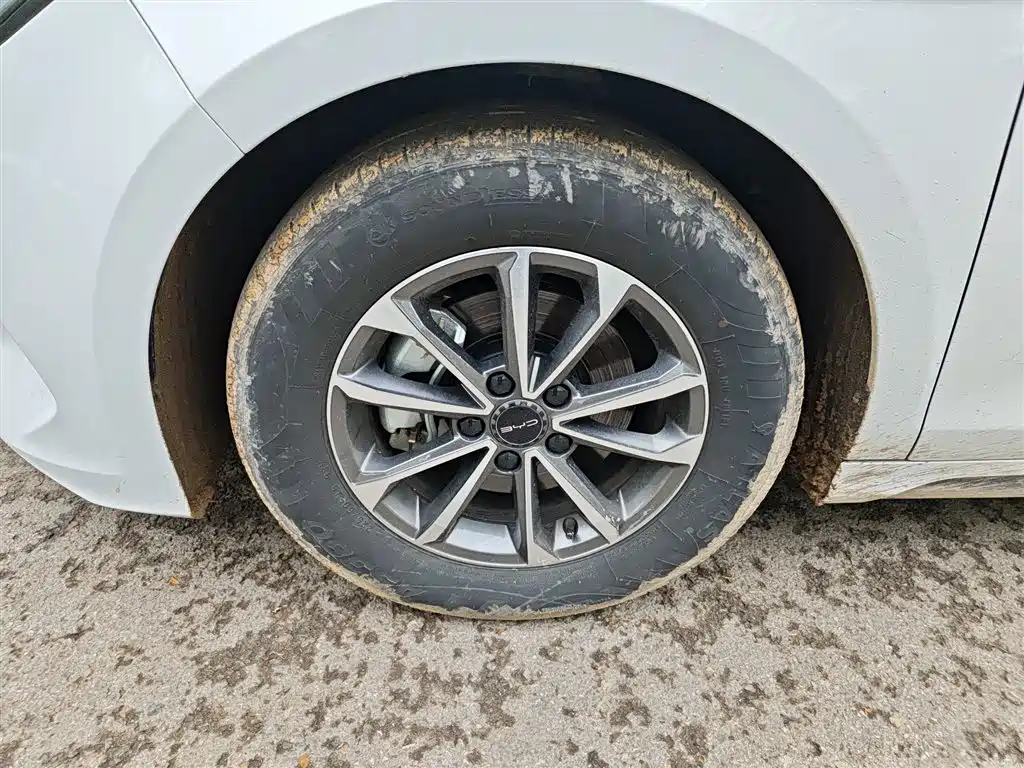 BYD Destroyer 05 2024 Glory Edition DM-i 55KM Luxury фото 25