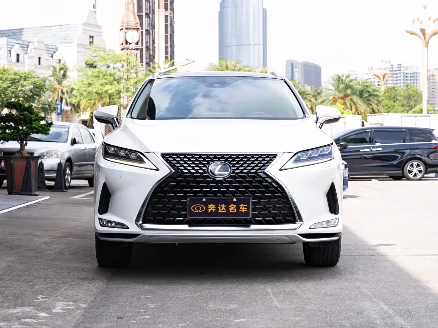 LEXUS RX