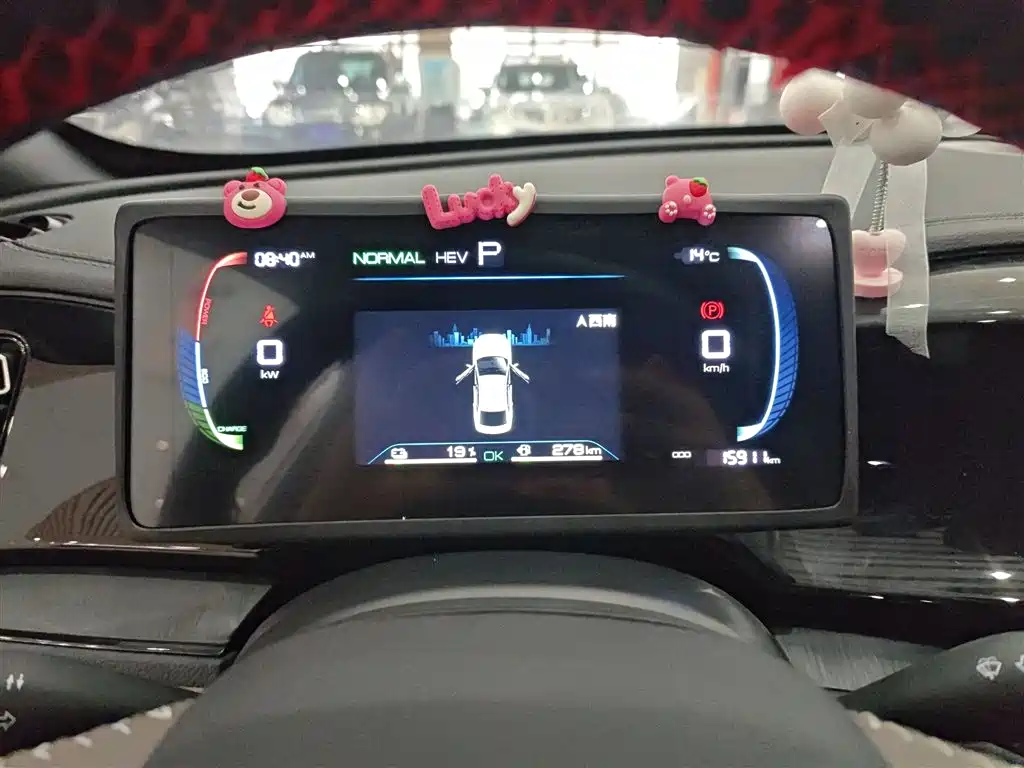 BYD Qin PLUS 2024 Glory Edition DM-i 55KM Leading фото 12