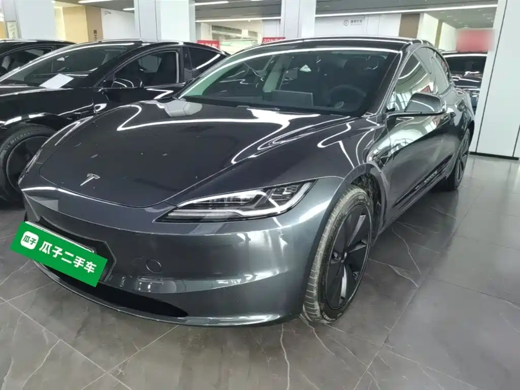 Tesla Model 3 2025 Model Rear-Wheel Drive Edition