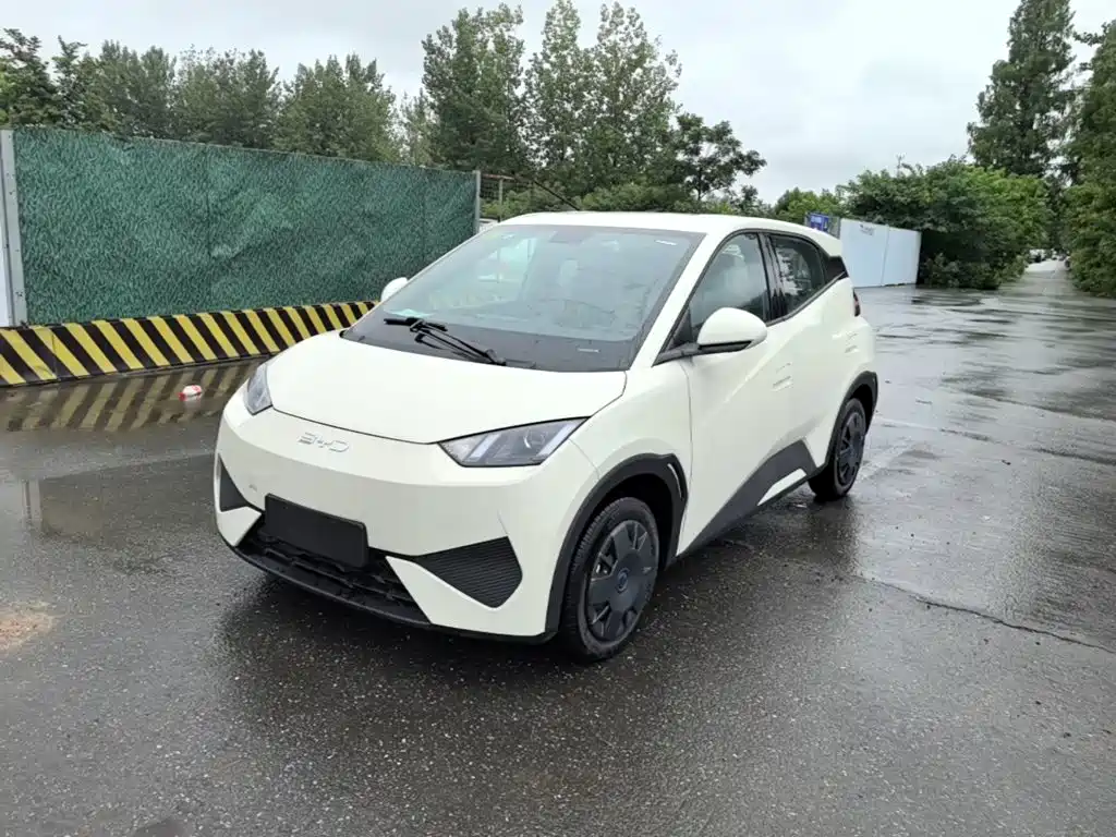 BYD Seagull 2025 Smart Drive Edition 305km Vitality Version