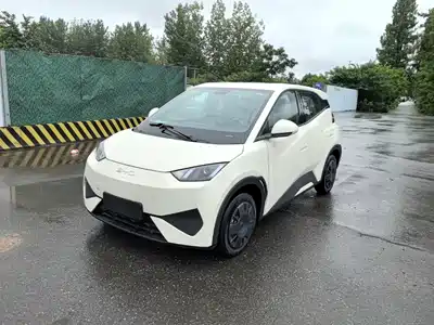 BYD Seagull