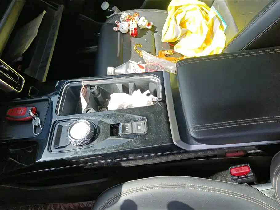 Haval Big Dog 2021 2.0T DCT 4WD Chinese Rural Dog Edition фото 16