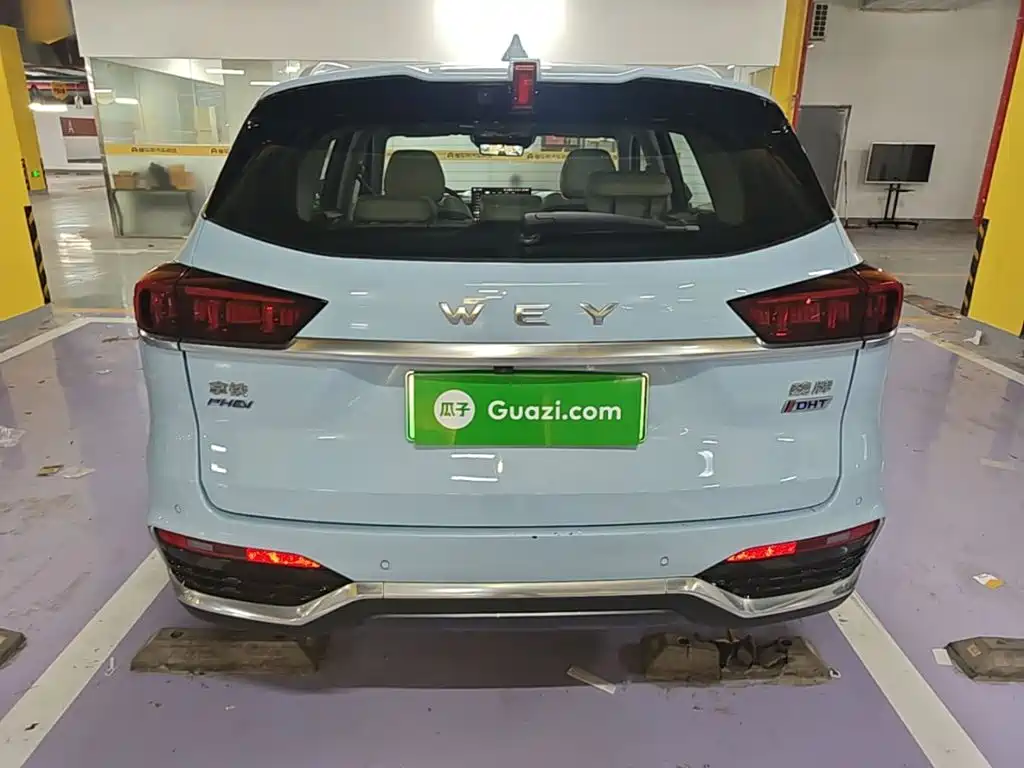 WEY Latte DHT-PHEV 2023 2022 1.5T 2WD Extra Large Cup