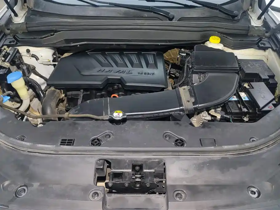 Haval H4 2019 1.5GDIT Manual Elite Smart Connect Edition China V фото 10