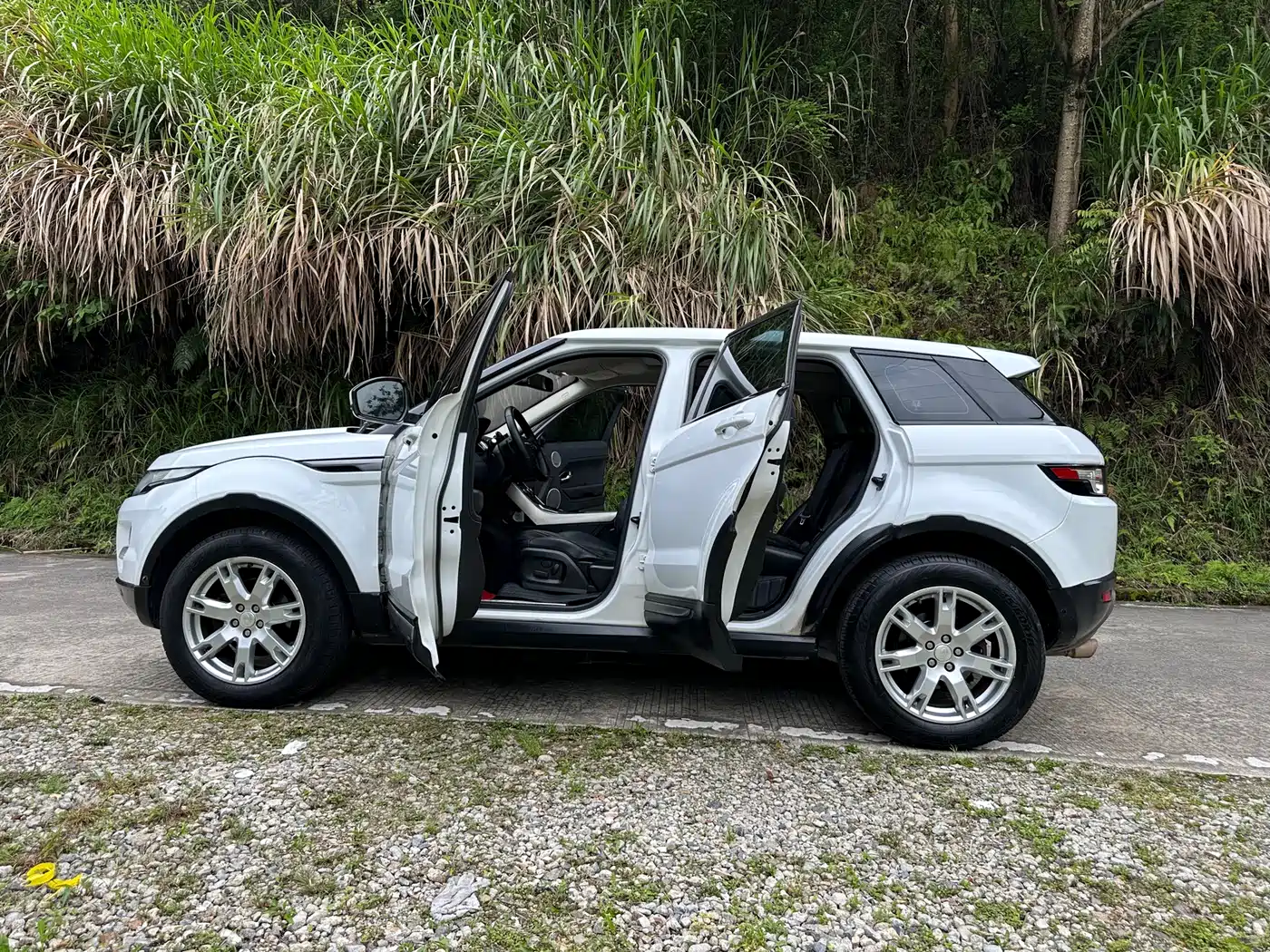 Land Rover Range Rover Evoque (Import) 2014 2.0T 5-door Brilliance Premium фото 2