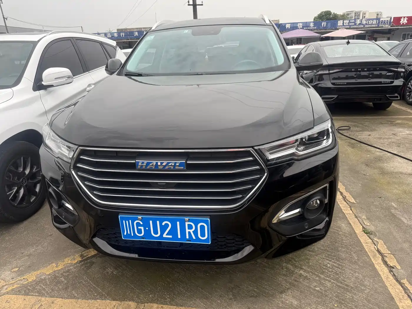 Haval H6 2019 Blue Label 1.5GDIT Automatic Luxury Smart Connect Edition фото 3