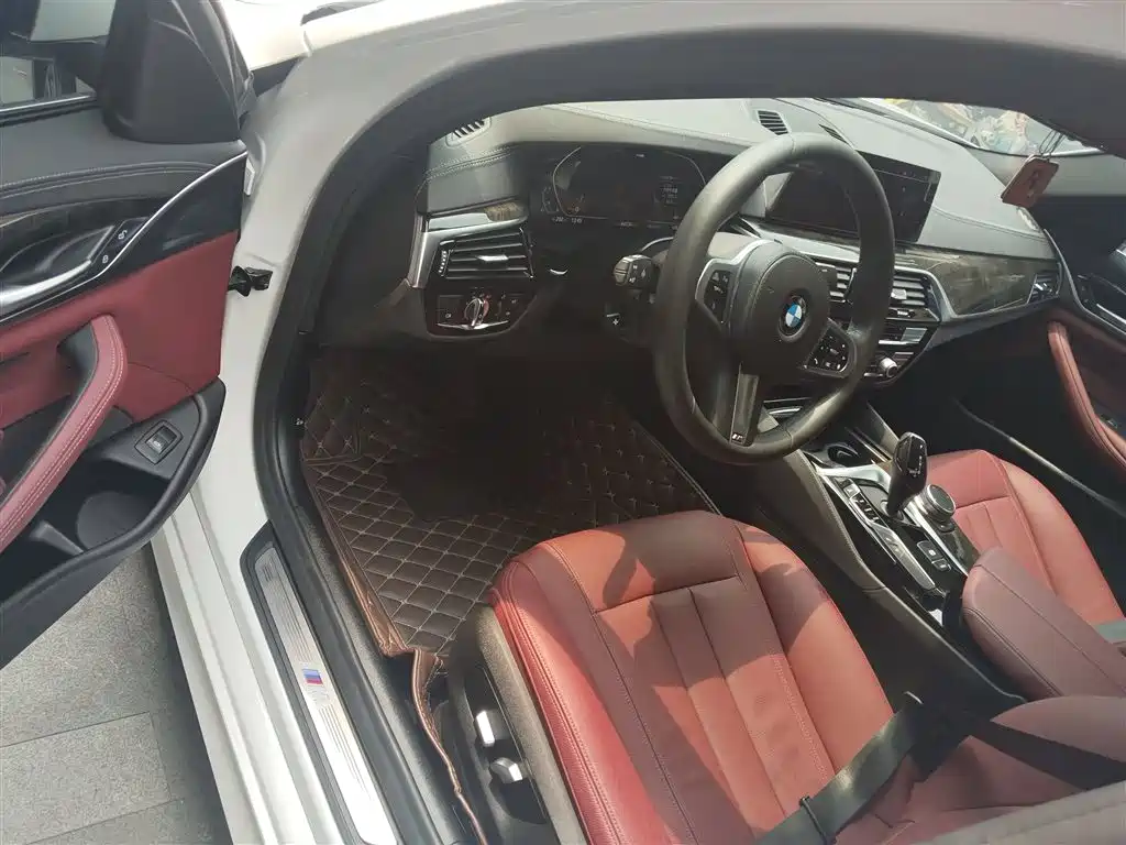BMW 5 Series 2020 530Li Leading M Sport Package фото 16
