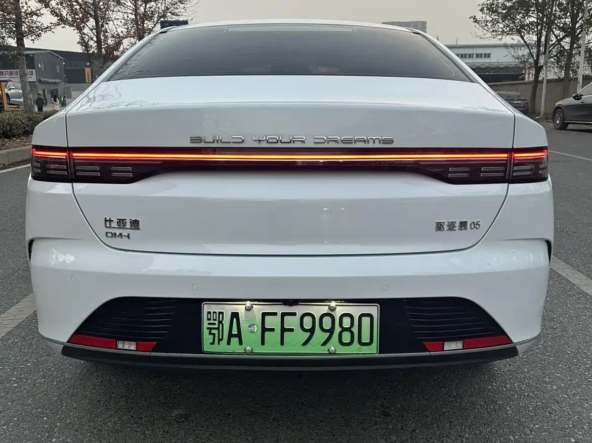 BYD Destroyer 05 2024 Glory Edition DM-i 55KM Luxury фото 12