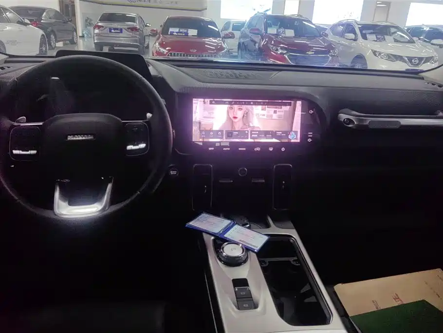 Haval Big Dog 2024 1.5T DCT Border Collie Edition фото 13