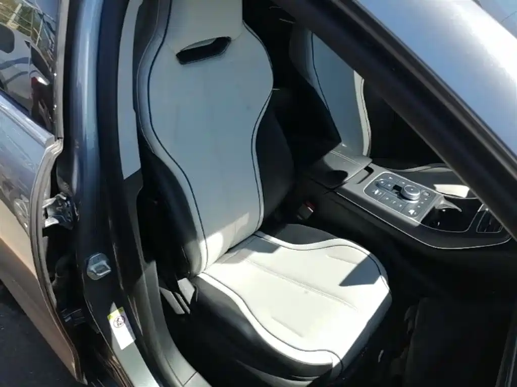 BYD Destroyer 05 2024 Glory Edition DM-i 55KM Luxury фото 25