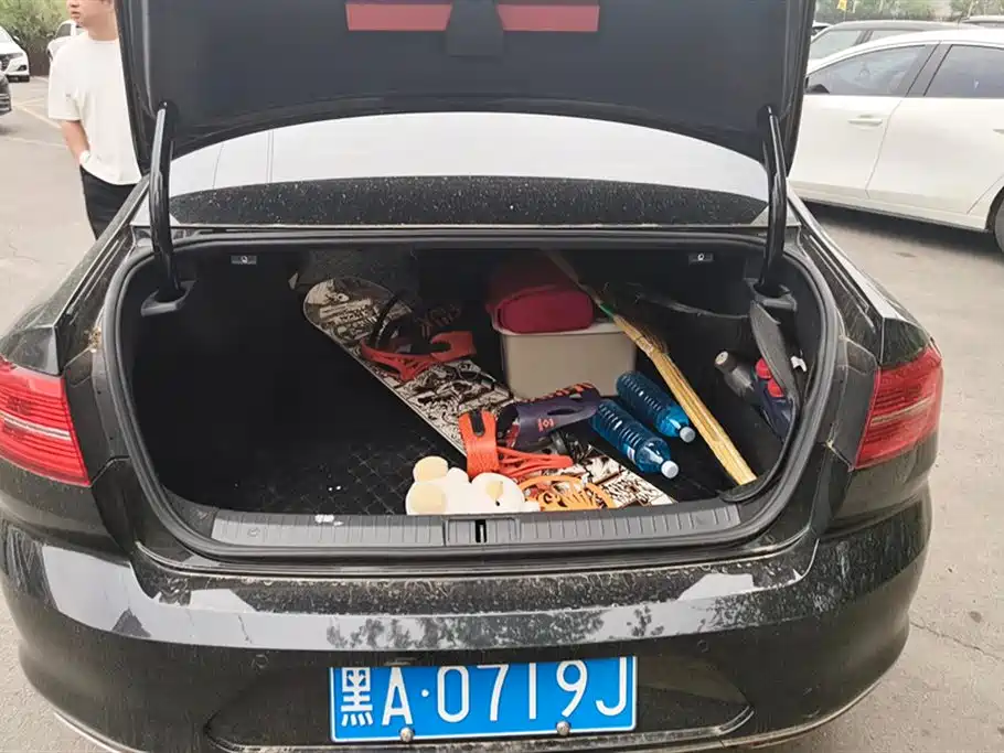 Volkswagen Magotan 2019 330TSI DSG Leading China VI фото 4