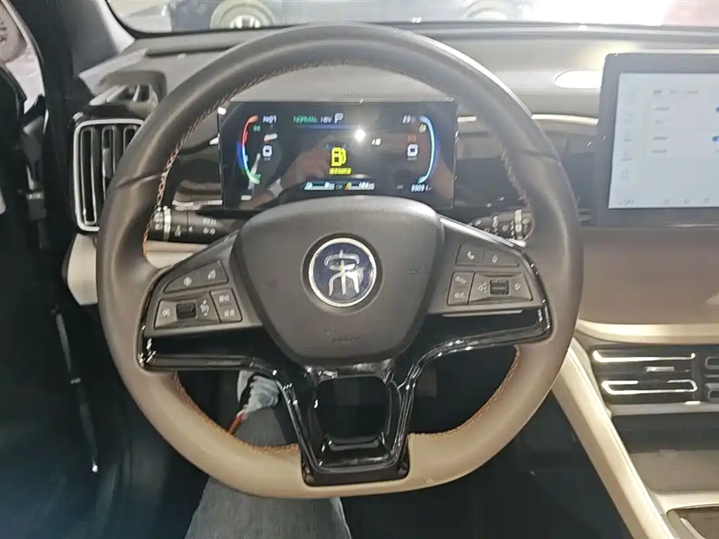 BYD Song Pro New Energy 2024 Glory Edition DM-i 71KM Pilot фото 11