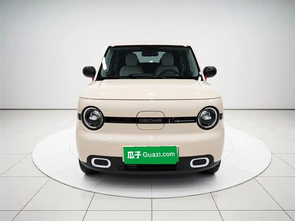 Geely Galaxy Panda 2025 Panda mini 210km Vitality Bear фото 3