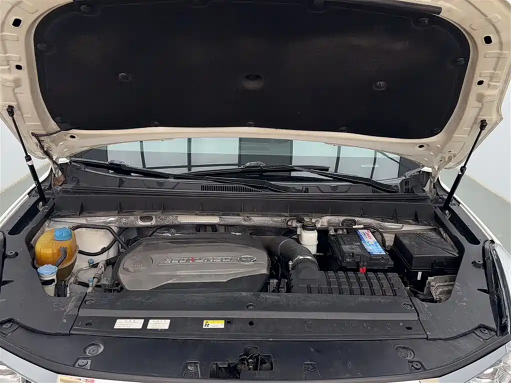 GAC Trumpchi Trumpchi GS8 2017 320T 2WD Luxury Smart Connect (7-seater) фото 10