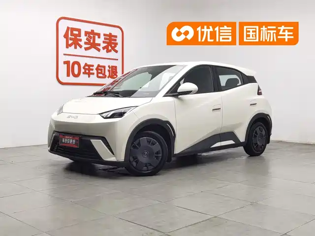 BYD Seagull 2024 Glory Edition 305km Vitality Edition — фото 1