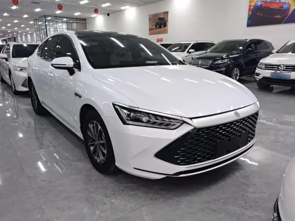 BYD Qin PLUS 2023 Champion Edition DM-i 55KM Leading фото 4