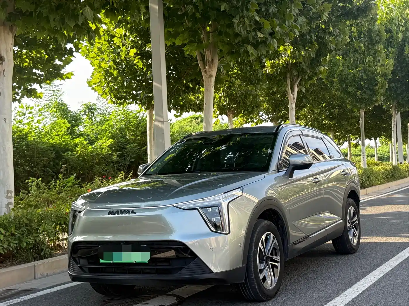 Haval Xiaolong 2023 2023 1.5L 110KM Pilot Edition