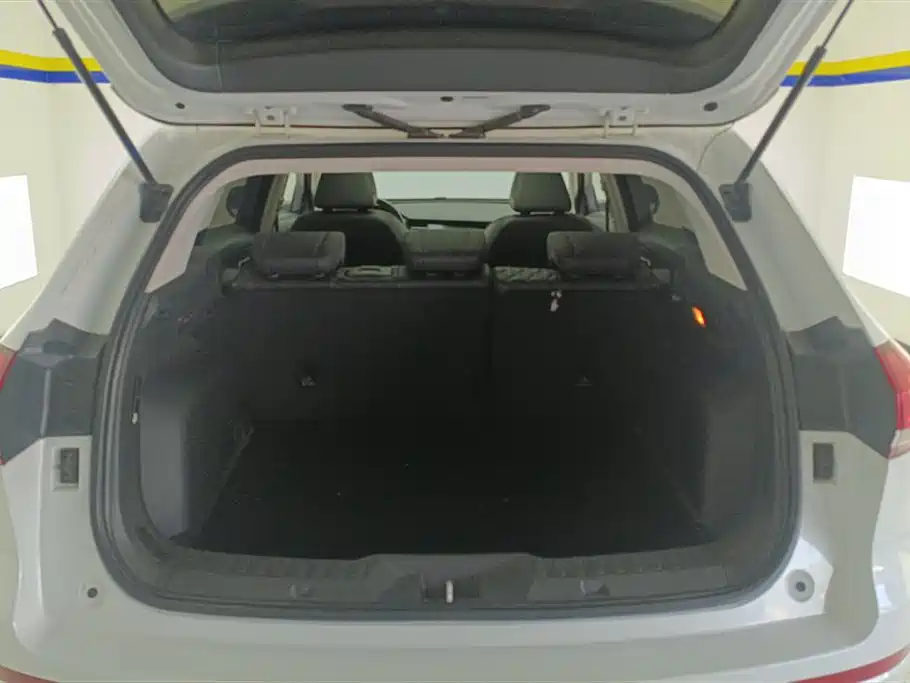 Haval H6 2020 1.5GDIT Automatic Platinum Champion Edition фото 4