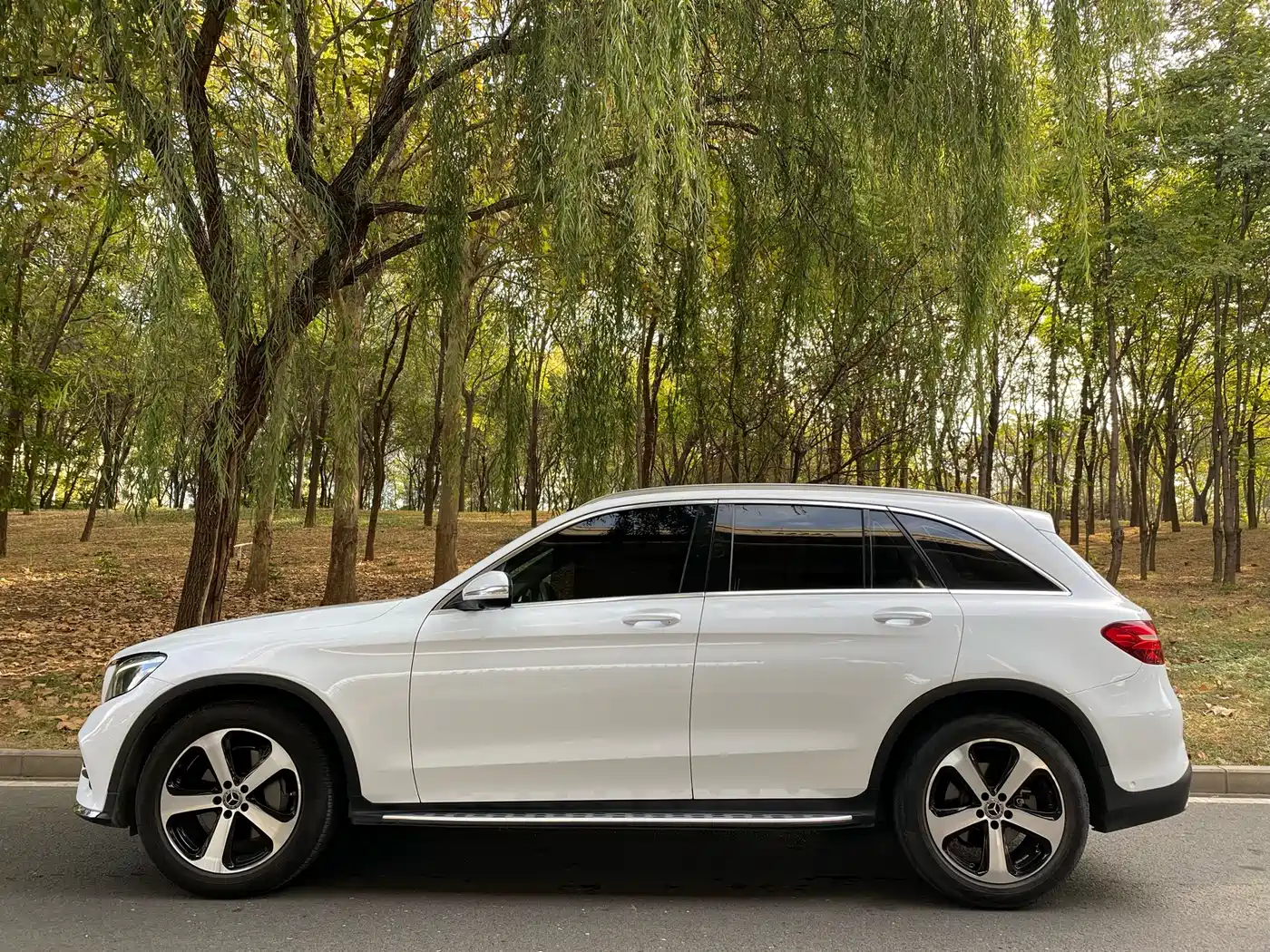 Mercedes-Benz GLC 2019 GLC 260 L 4MATIC Dynamic фото 3