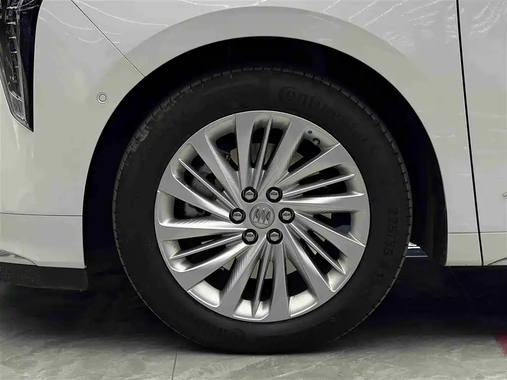 Buick Century 2025 2.0T 7-Seater World Edition фото 4