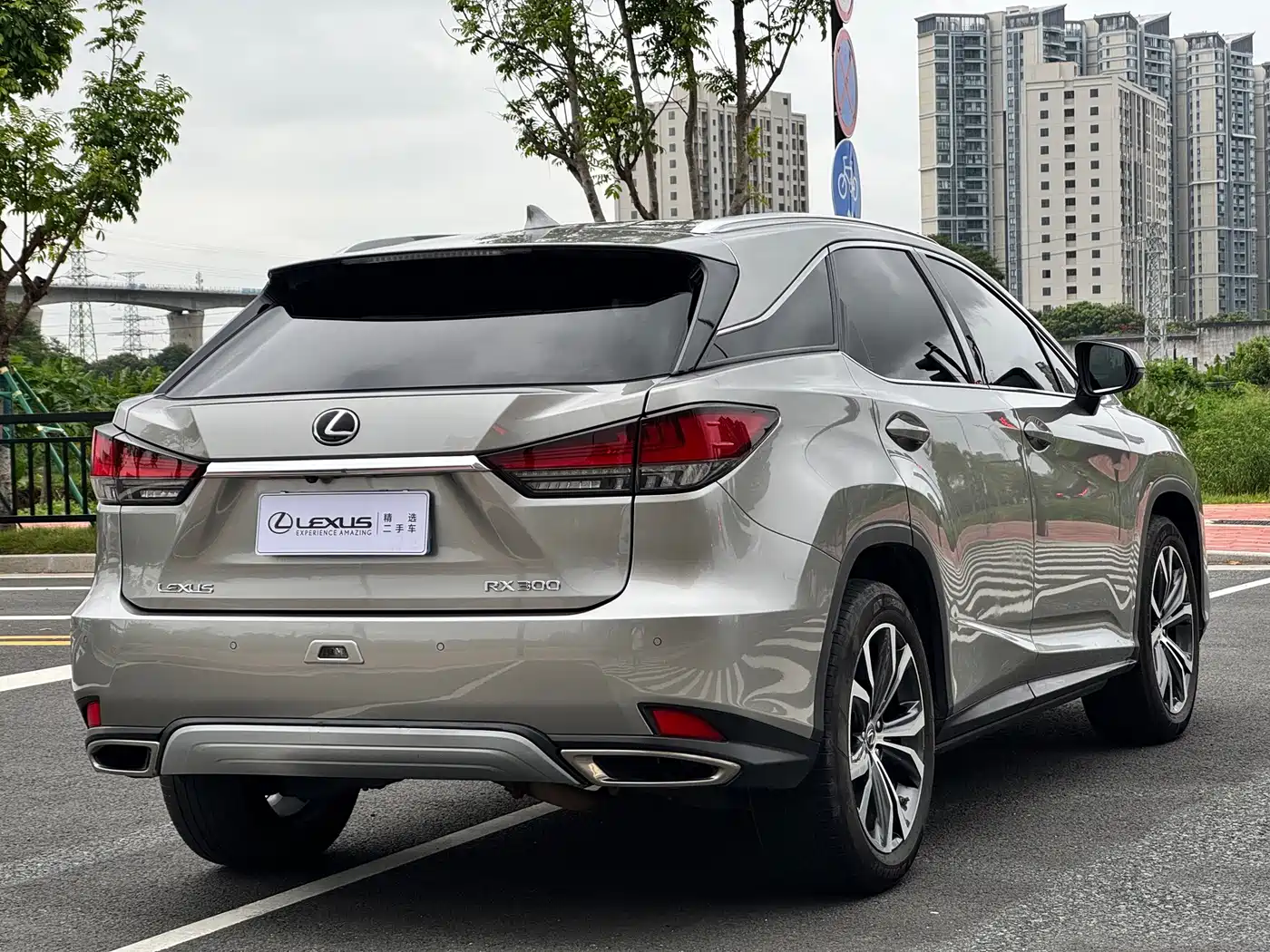 Фото 14 - Lexus RX