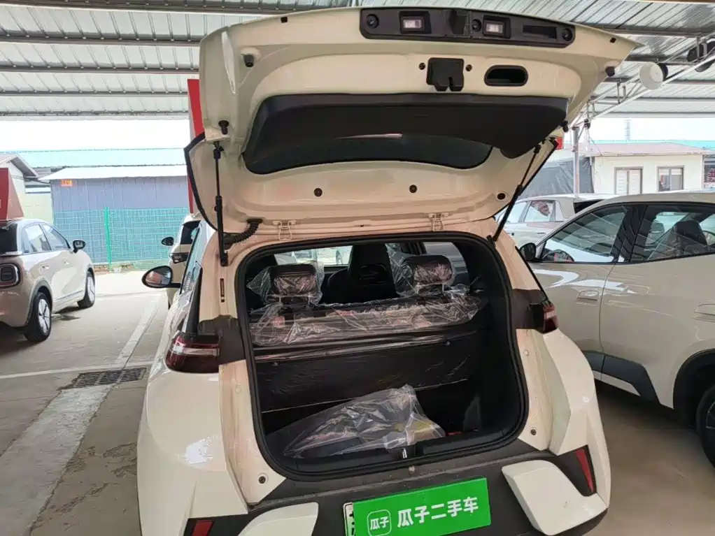 BYD Seagull 2026 2025 Smart Drive Edition 305km Vitality Version