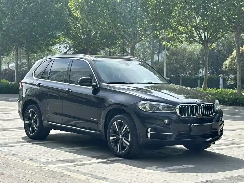 BMW X5 (Import) 2017 xDrive35i Elegance фото 4