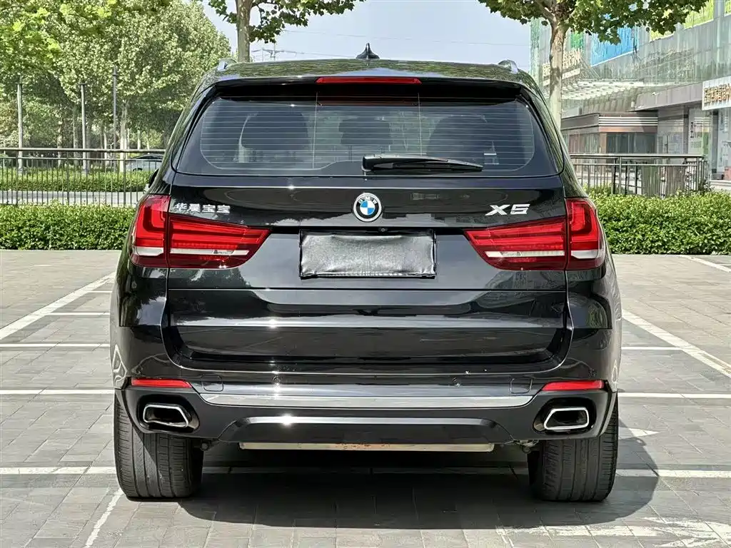 BMW X5 (Import) 2017 xDrive35i Elegance фото 7