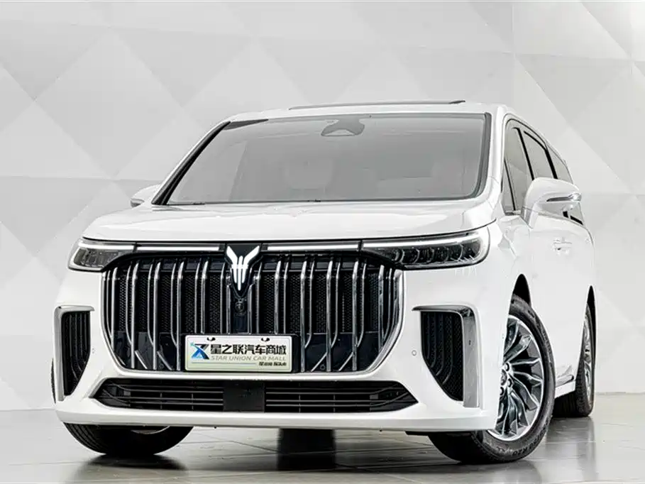 Voyah Auto Voyah Dreamer 2024 PHEV Extended Range Premium Edition фото 3