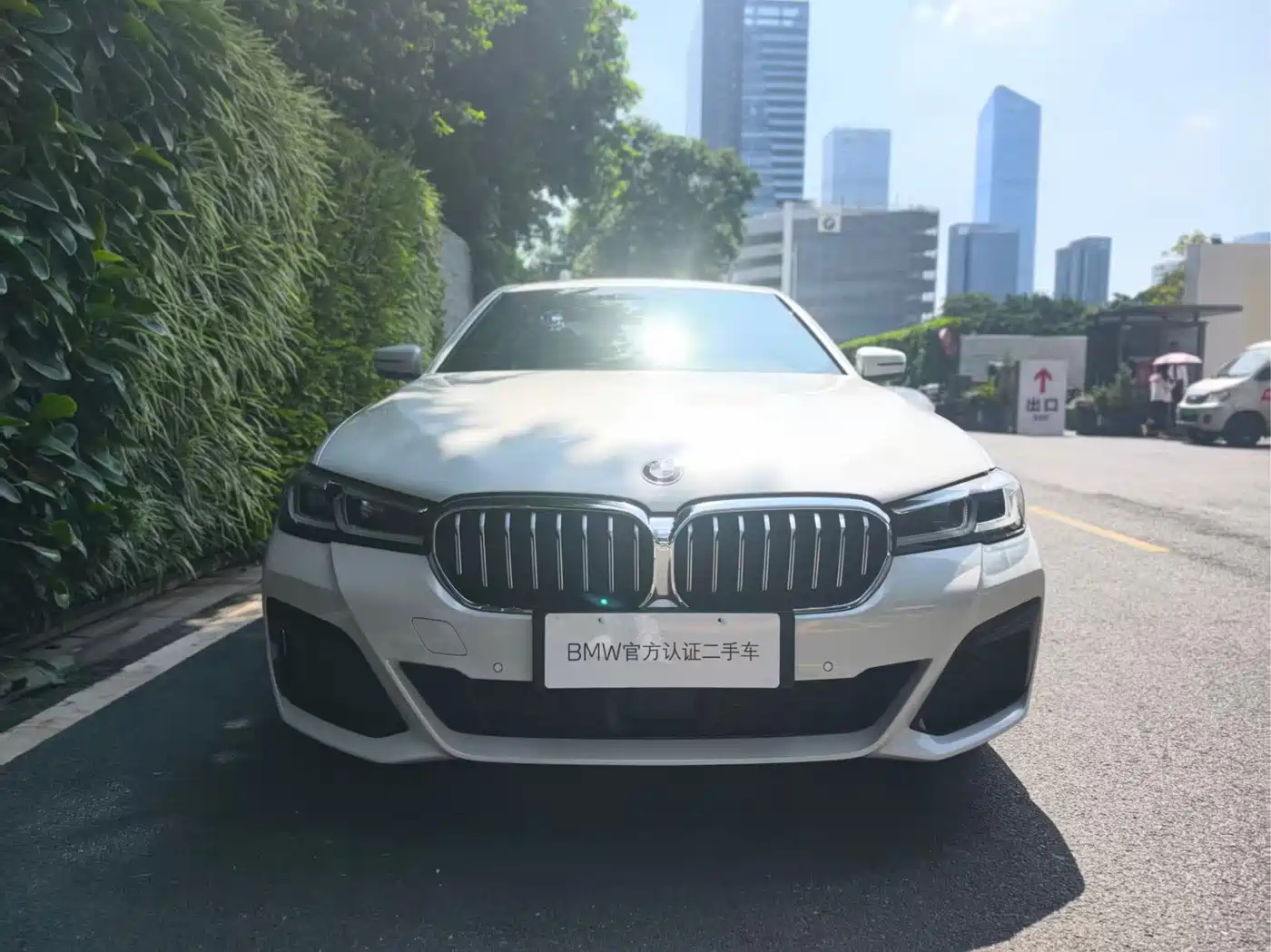 BMW 5 Series, миниатюра 2
