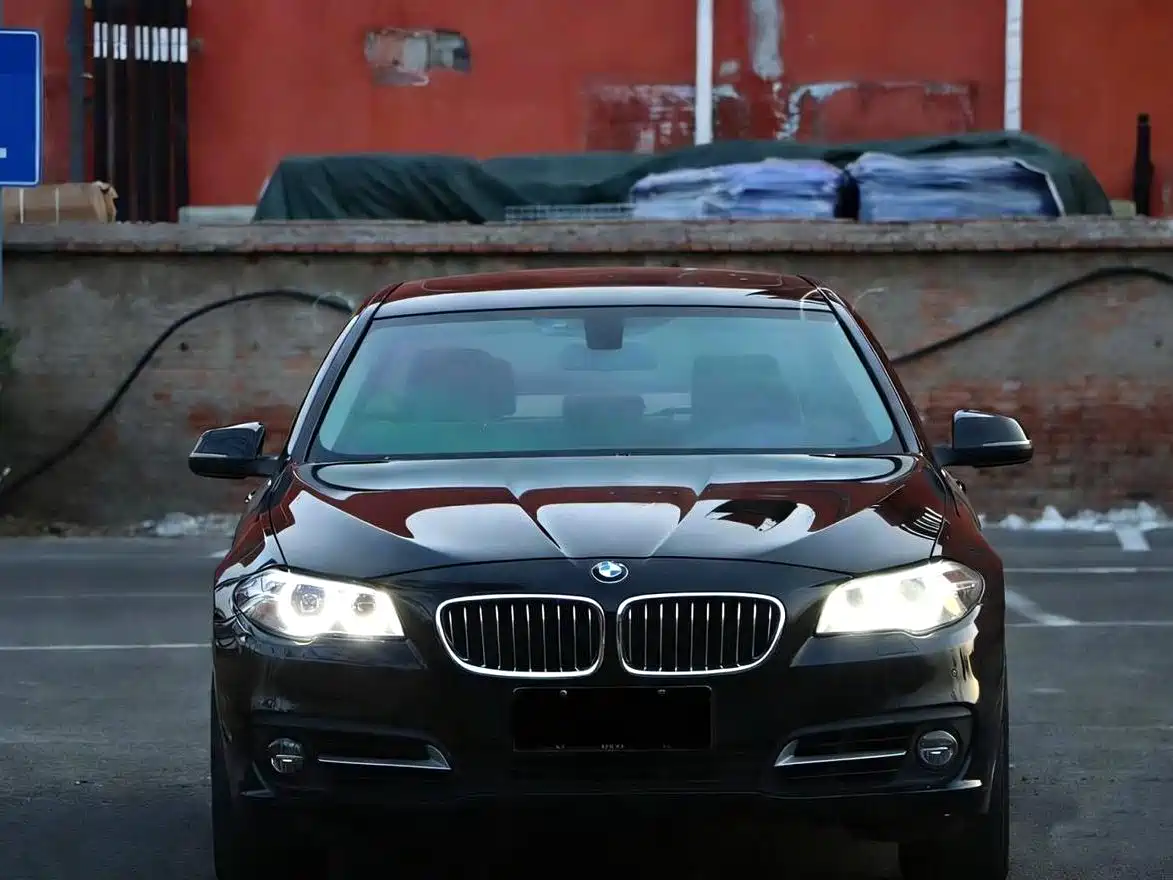 BMW 5 Series 2014 525Li Leading фото 2